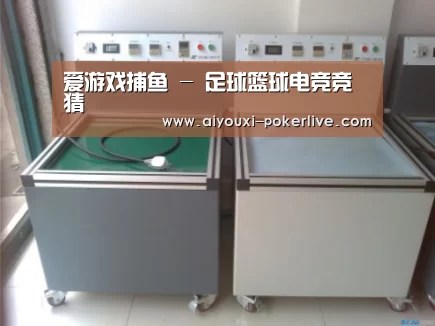 爱游戏真人娱乐中心案例展示二(图1)