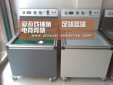 爱游戏真人娱乐中心案例展示二