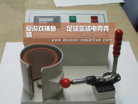 爱游戏真人娱乐中心案例展示六